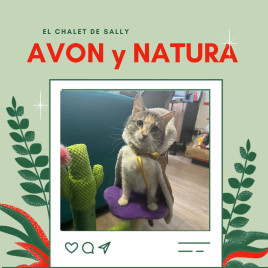 Chalet de Sally